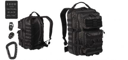 Assault Long 36L